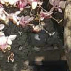 salut l'hiver pour nous stp