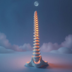 Porcelain Spine