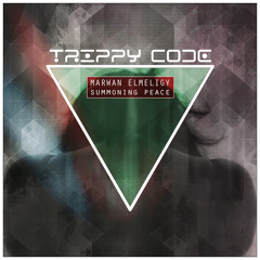Marwan ElMeligy & Sweilam - Transition