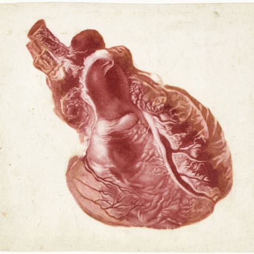 コンビーフ讃歌