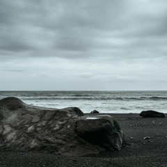 BeSa - A l'Ammoniaque (PNL COVER)