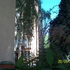 OST первый #2023