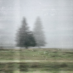 Whispers of Emptiness