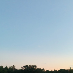 LetMeJustLeaveThisHere