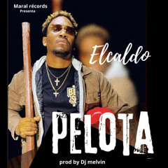 EL ALDO PELOTA