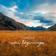 New Beginnings - P3NGUIN