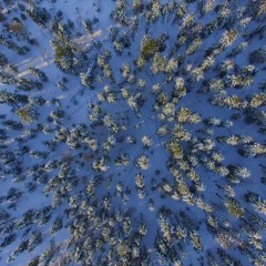 [Dreams #03] Winter Special