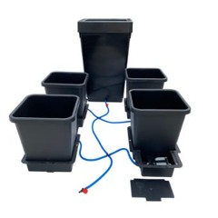 Danny Dawson from Gro-rite on LED lighting and self-watering pot systems