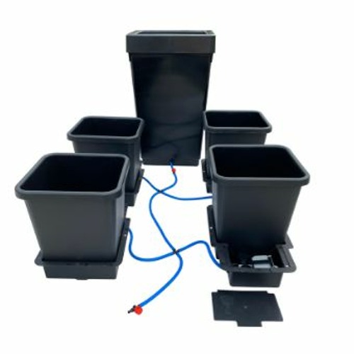 Danny Dawson from Gro-rite on LED lighting and self-watering pot systems