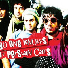 Human Jungle - Take It Easy Hospital from No One Knows About Persian Cats (Slowed and Reverbed)