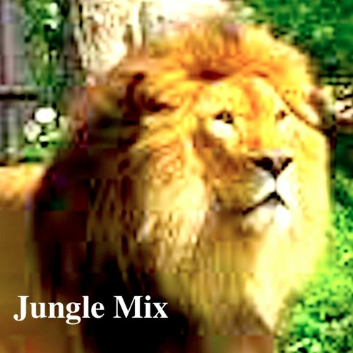 Stream Jungle Mix by CDR | Listen online for free on SoundCloud