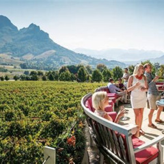 Best Stellenbosch And Franschhoek Winelands Full Day Shared Tour Tours Review