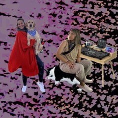 lezzzapalooza 2024
