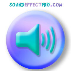 soundeffectpro.com