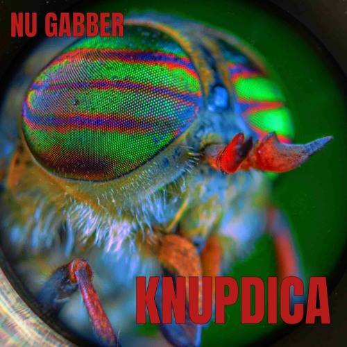 KNUPDICA - NU GABBER