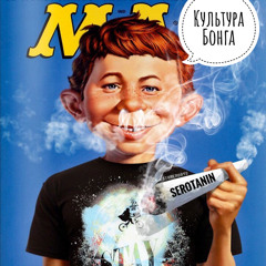 Культура бонга