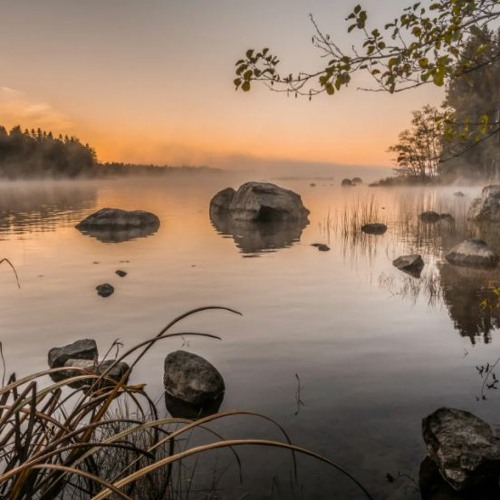 2021typebeats remove background (FREE DOWNLOAD)