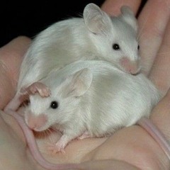 batting practice - 2023 - 12 - 27