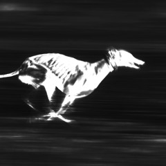 shower_with_the_lights_off_154bpm_Fm