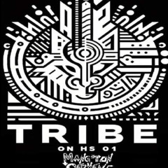 Nostalzik (TRIBE ON HS 01) MTC Records