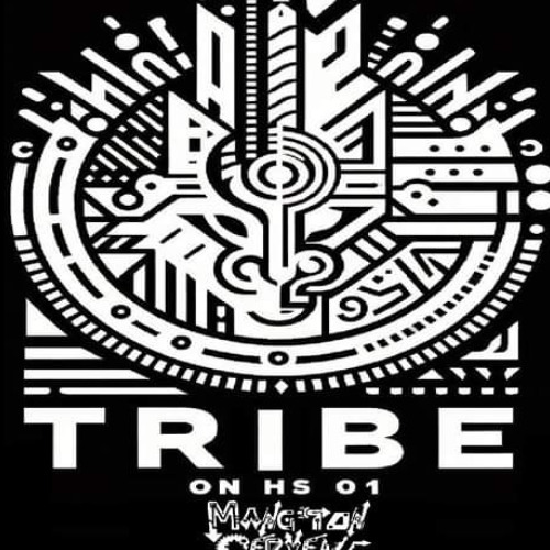 Nostalzik (TRIBE ON HS 01) MTC Records