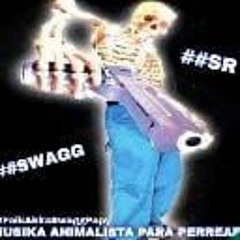 MUSIKA ANIMALISTA PARA PERREAR.mp3 ##SWAGGRELIGION #FAIKAKKASWAGGPAPY