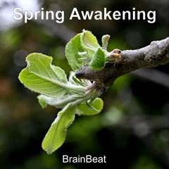 Spring Awakening