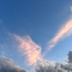 What if you fly? (Midnight Music 2.2)