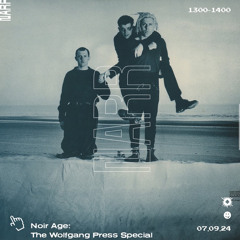 Noir Age - The Wolfgang Press Special 07/09/24