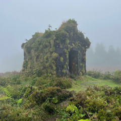 Shed 3 - Sorry for the slight delay