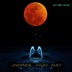 Another Angel Flies (Acoustic) by We.Are.Alien