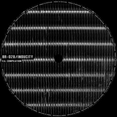 [BR-028] Observer Theory - Concrete