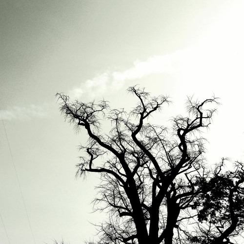 Reminiscence