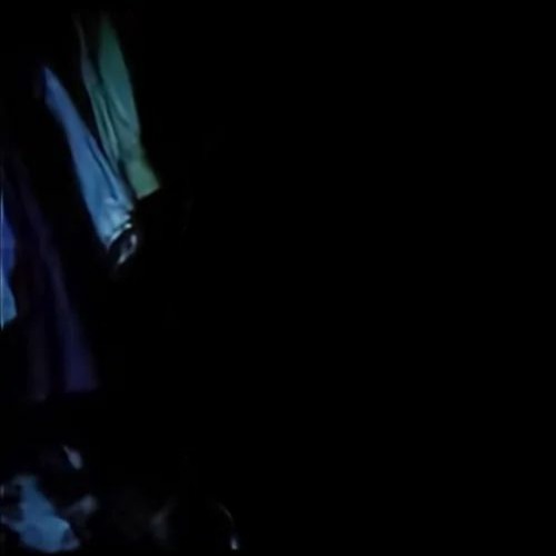 Erdo stay guac Flip ( idk what else to call it)