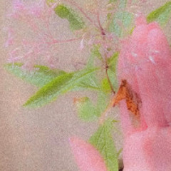 Twin Flame (prod. lilac)