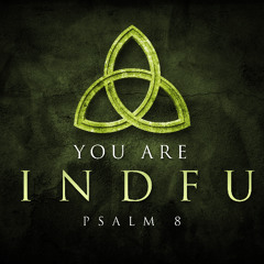 SOTV Message Holy Trinity C - "You Are Mindful" - Psalm 8 - 6/15/25