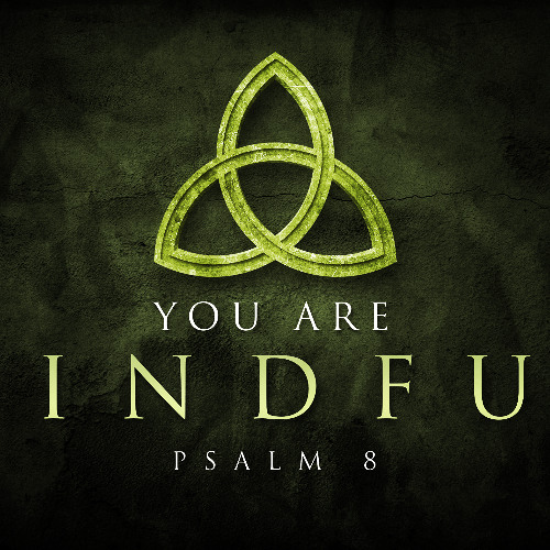 SOTV Message Holy Trinity C - "You Are Mindful" - Psalm 8 - 6/15/25