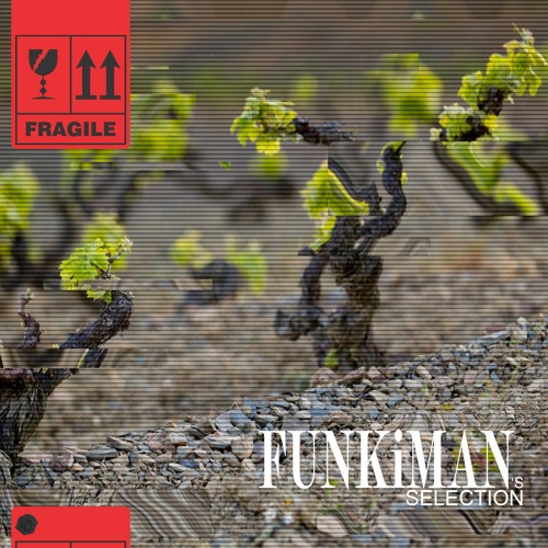 FUNKiMAN's SELECTION 0118 - Hector Moralez Guest Mix