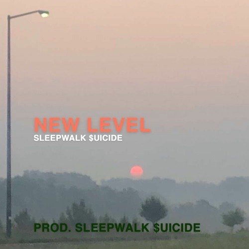 new level [prod. SLEEPWALK $UICIDE]