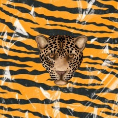 TOMA TRAP/BREGA FUNK