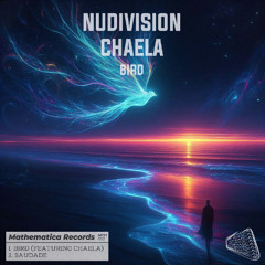 NuDivision Chaela - Bird (Original Mix)