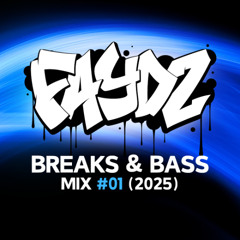 DJ FAYDZ - BREAKS & BASS MIX 01 (2025)