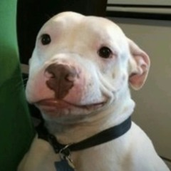 Tech House Mix Vol. 03