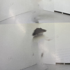 je me dis... (p. keight + schumi1)