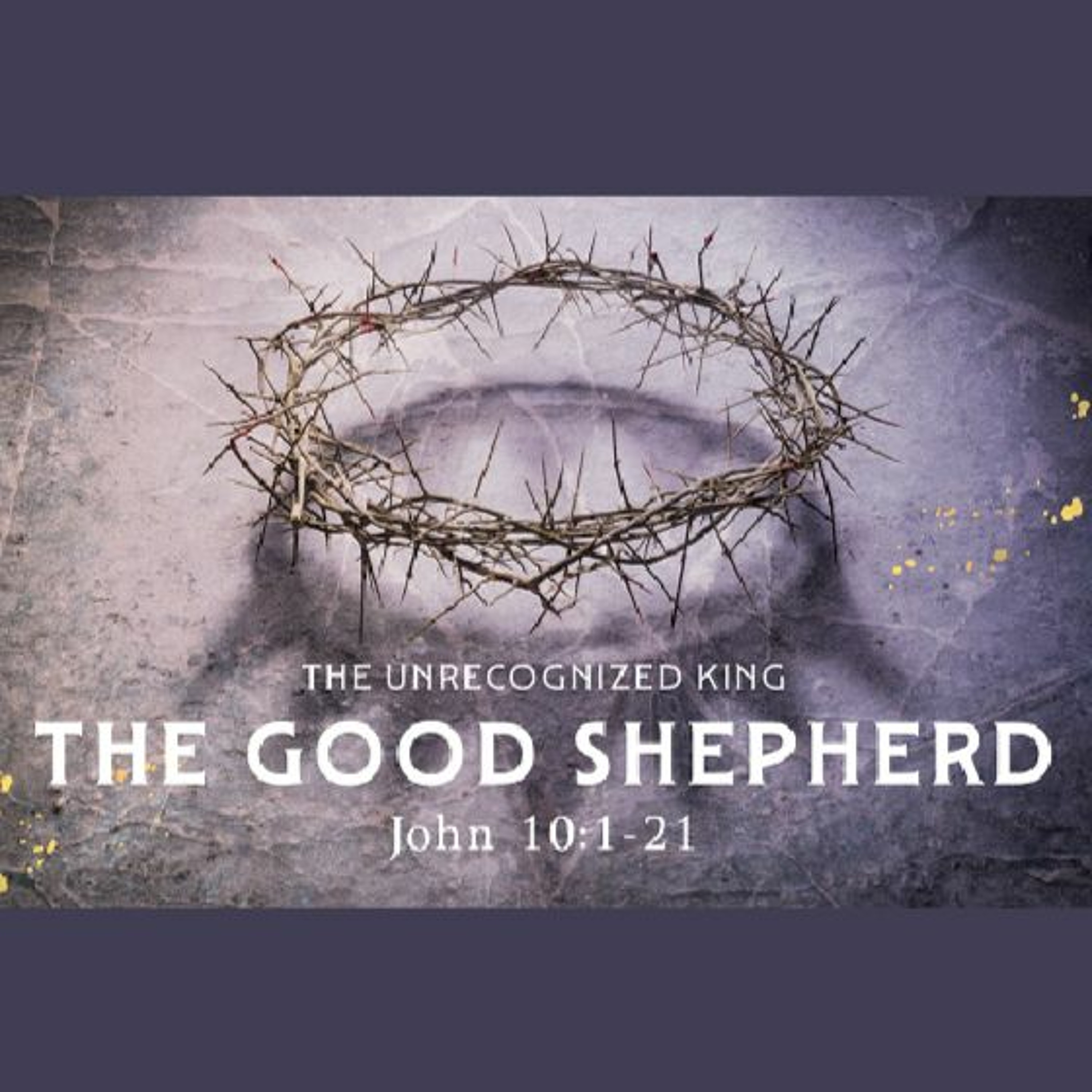 The Good Shepherd, John 10:1-21 (Sermon) episode artwork