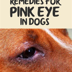 Best Pink Eye In Dogs Home Treatment Reviews