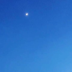 Blue Moon Of Kentucky