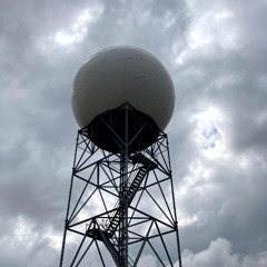 mites on a satellite