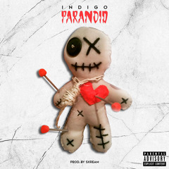 Paranoid - INDIGO ( Prod.Sxream)
