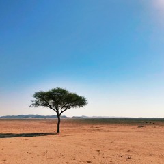 Dasht-e-Tanhai (The Desert of my Solitude)